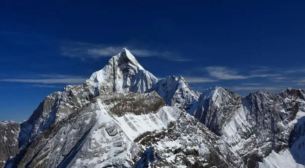 Как настроить напечатанный блошиный пиджак?